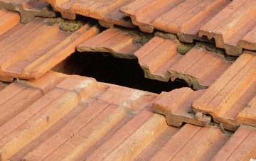 roof repair Spreyton, Devon