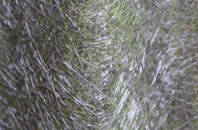 Spreyton fibreglass roof work